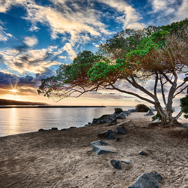 California Beaches by Al Gerk, Limited Edition Print