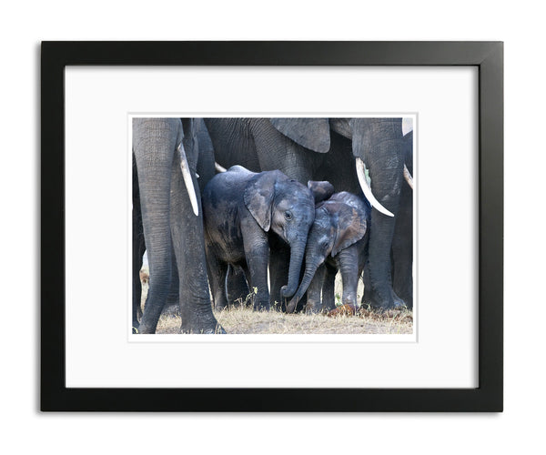 In the Play Pen, Botswana, by Robert Ross
