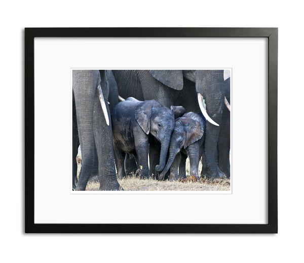 In the Play Pen, Botswana, by Robert Ross