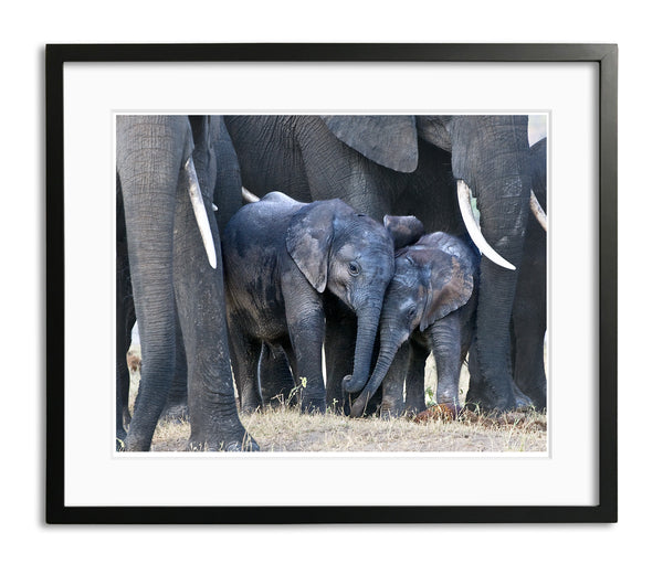 In the Play Pen, Botswana, by Robert Ross