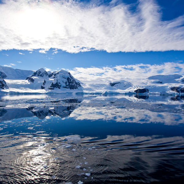 Peace in Antarctica, Melchior Island, Antarctica, by Robert Ross