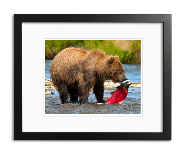 Supper, Katmai National Park, Alaska, by Robert Ross