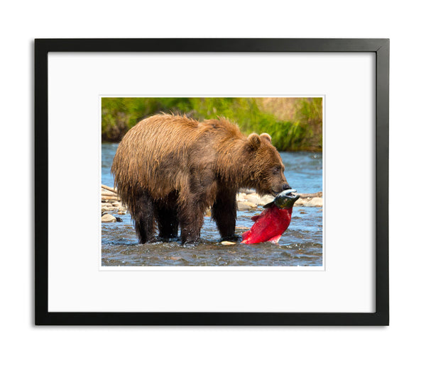 Supper, Katmai National Park, Alaska, by Robert Ross