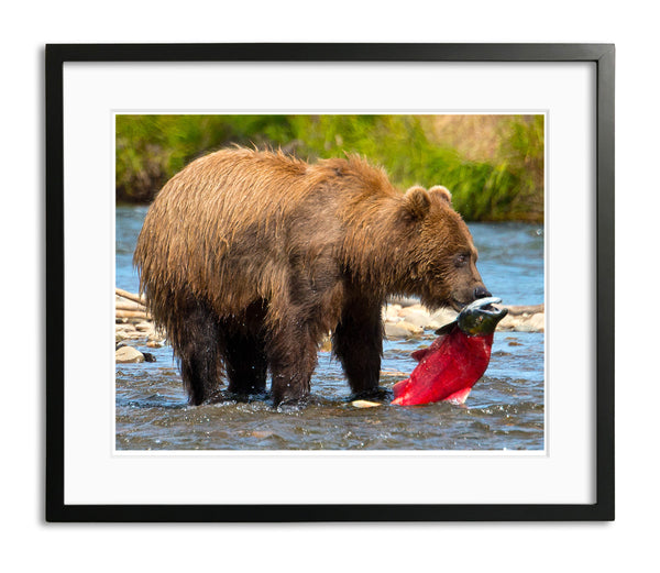 Supper, Katmai National Park, Alaska, by Robert Ross
