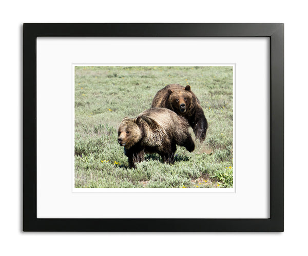 Bear Chase, Grand Tetons, WY, by Robert Ross