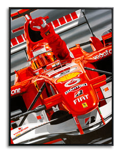Michael Schumacher, Farewell to the Master by Colin Carter