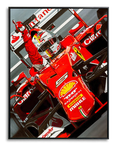 Sebastian Vettel, Victory for Jules by Colin Carter