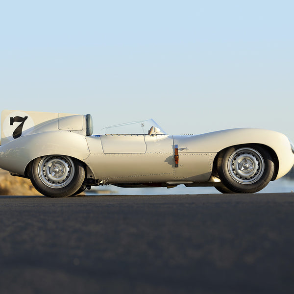 Jaguar D-Type 1956 by Pawel Litwinski